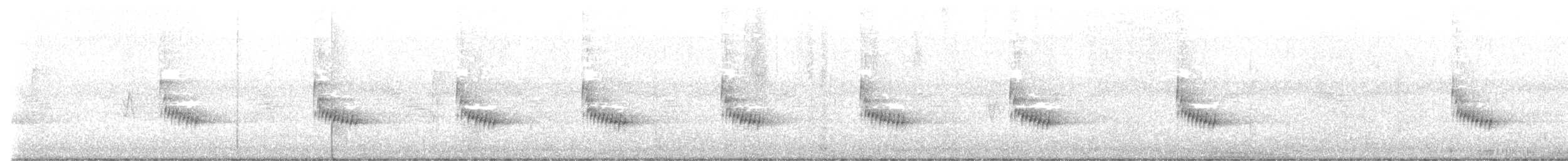 Carolina Wren - ML644240072