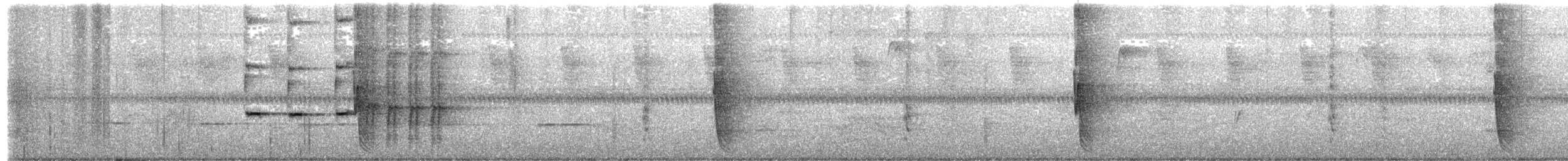Melodious Blackbird - ML644240857