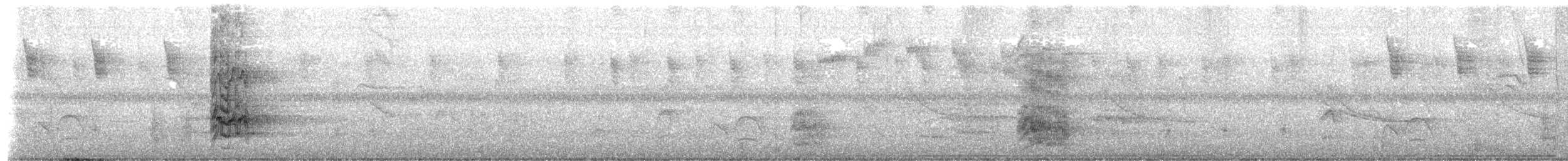 Pacific Parakeet - ML644241252