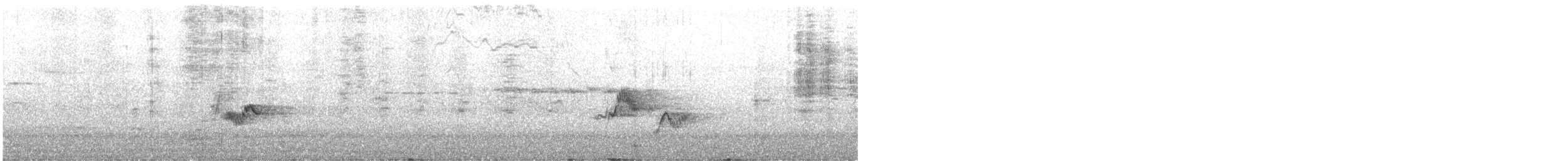 Viréo de Cassin - ML644241292