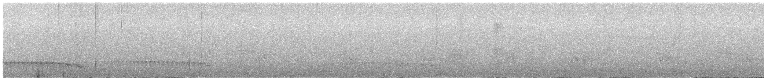 Black-capped Antwren - ML644241342