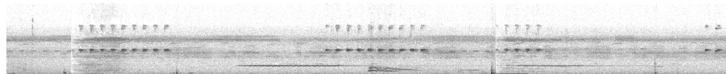 Solitary Tinamou - ML644241791