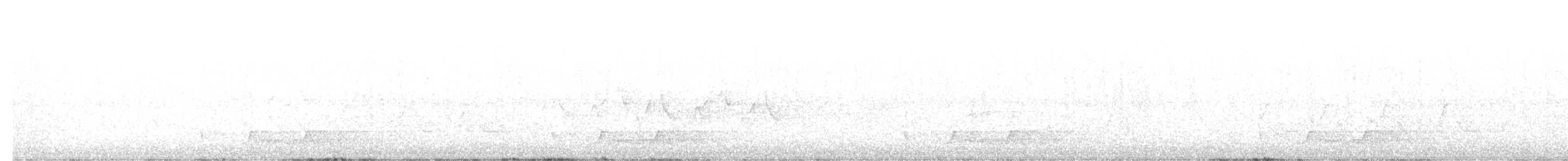 karolinanattravn - ML644242060