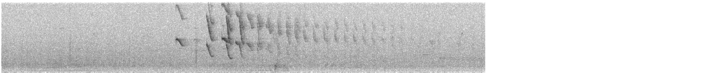 Amazilia Hummingbird - ML644242384