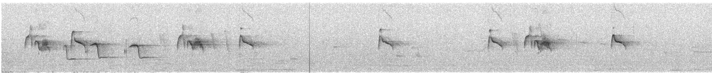 Black Phoebe - ML644242406