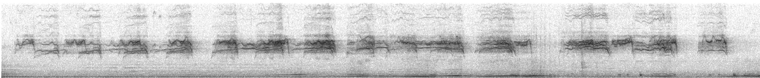 カワラバト（ドバト、家畜型） - ML644242581