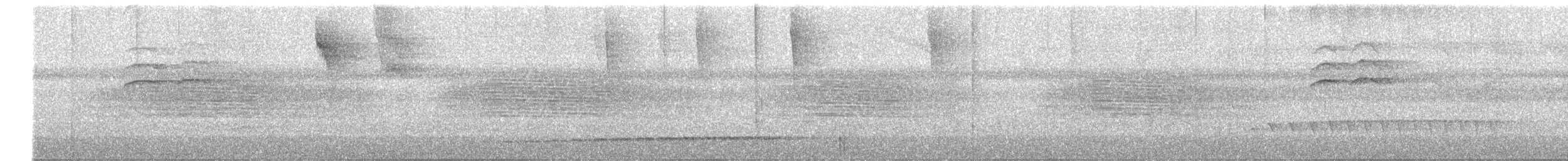 Grisin sombre - ML644242918