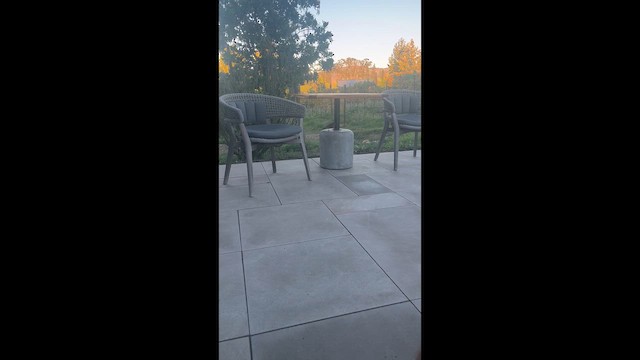 カリフォルニアムジトウヒチョウ - ML644242923