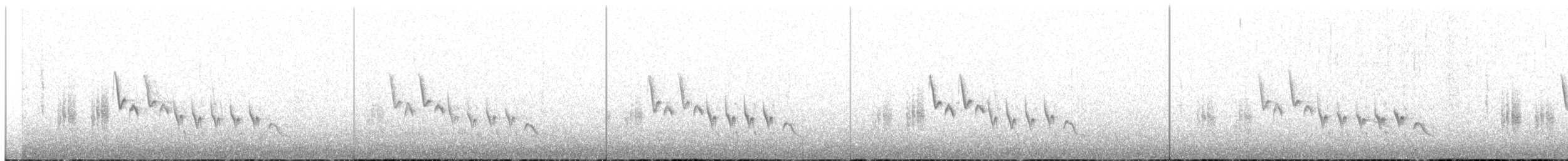 Southern House Wren - ML644243444