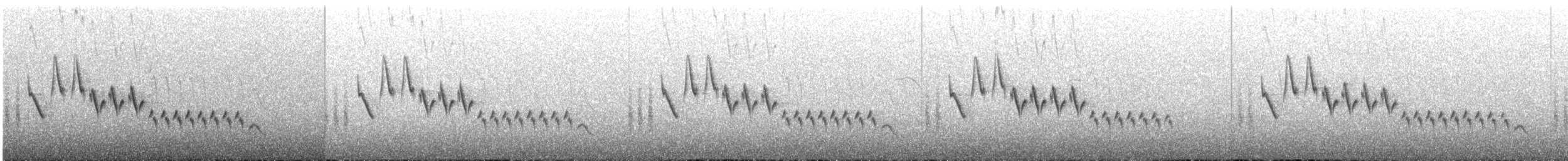 Southern House Wren - ML644243959