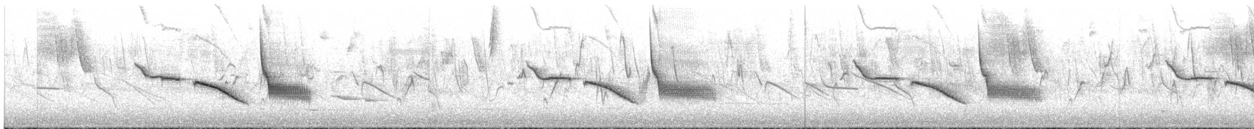 Bruant chingolo - ML644244567