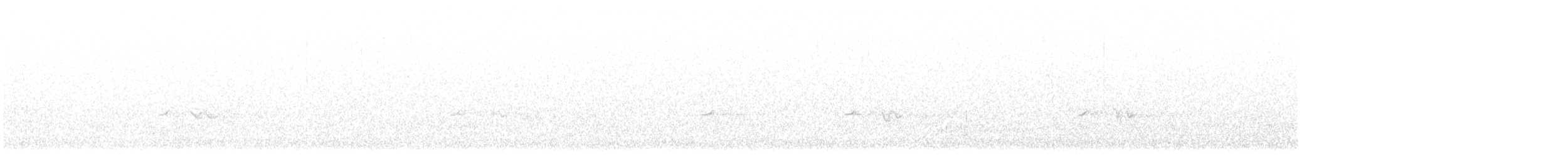 Pinu-gailupa - ML644245025