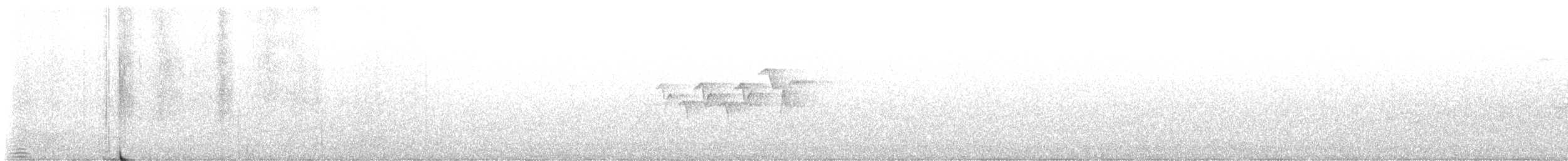 シロオビアメリカムシクイ - ML644245026