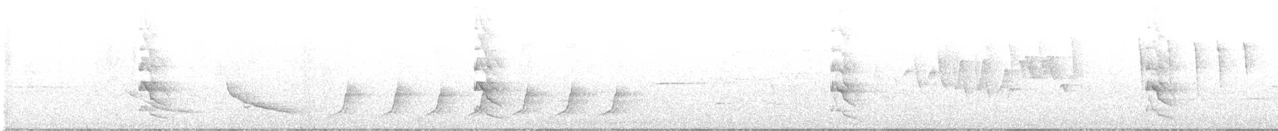 Northern Flicker (Yellow-shafted) - ML644245097