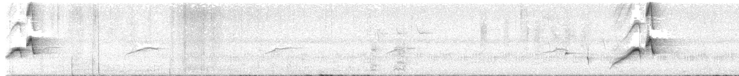 østbørstefugl - ML644245196