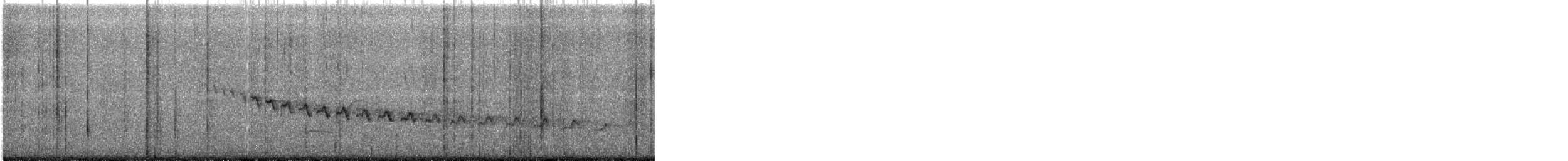 Canyon Wren - ML644245955