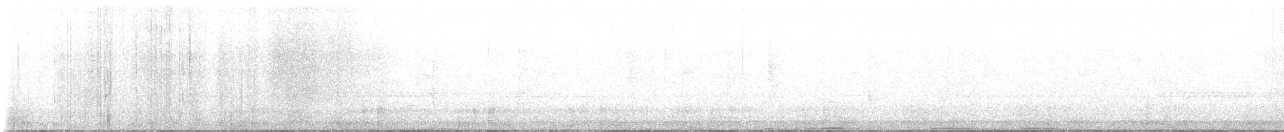 Koartza hauskara amerikarra - ML644246004