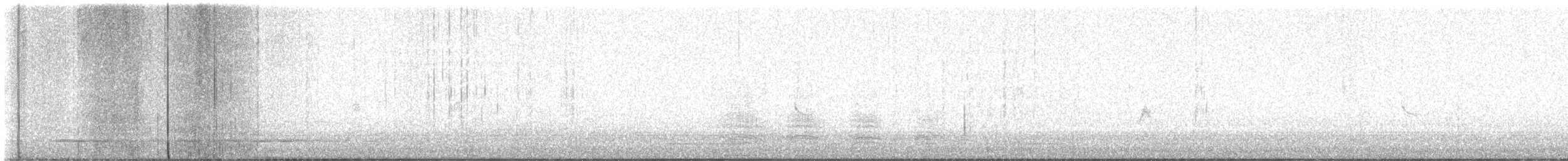 Plectrophane lapon - ML644246132