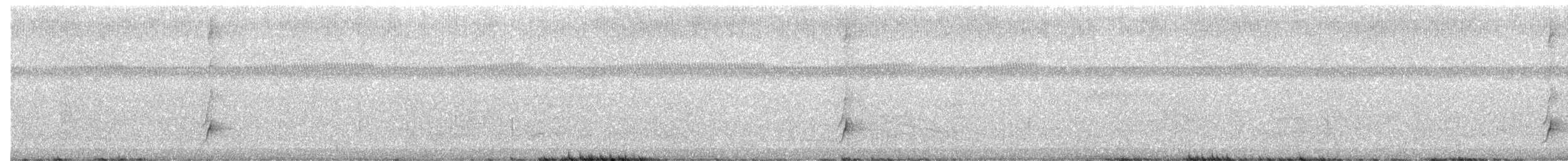 Brown-crested Flycatcher - ML644246301