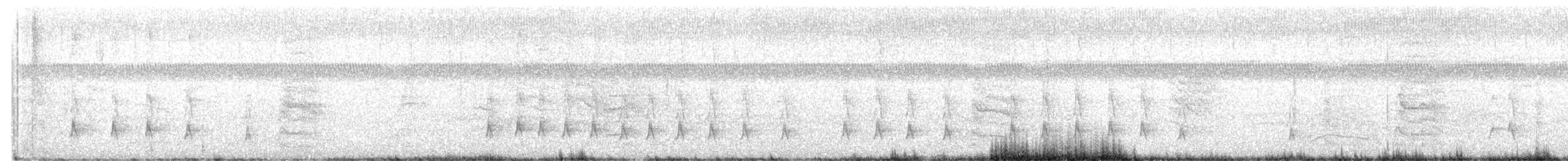 Brown-crested Flycatcher - ML644246302