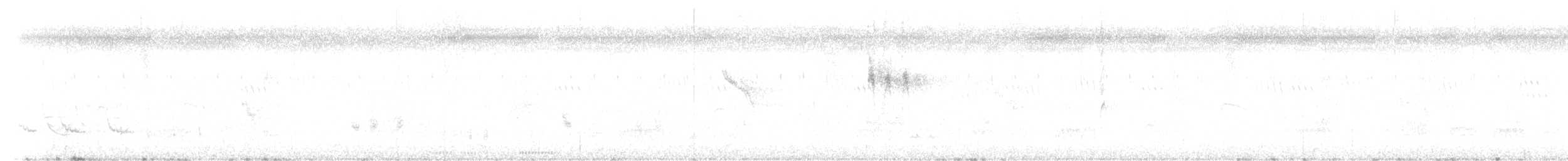 Eastern Spot-billed Duck - ML644246758