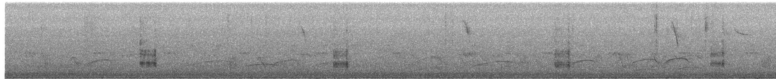 Southern House Wren - ML644247544