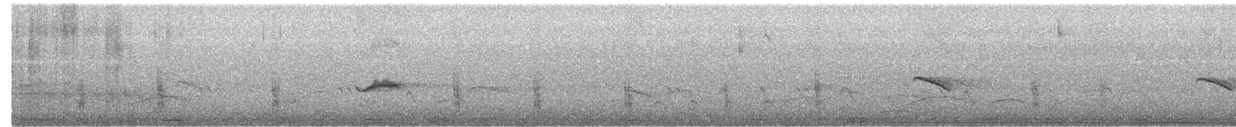 Grayish Baywing - ML644247557