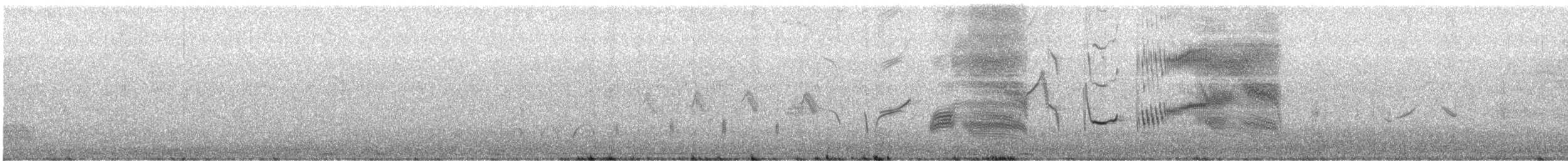 オナガマキバドリ - ML644247588