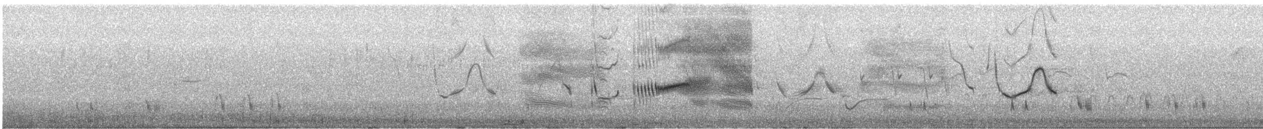 オナガマキバドリ - ML644247589