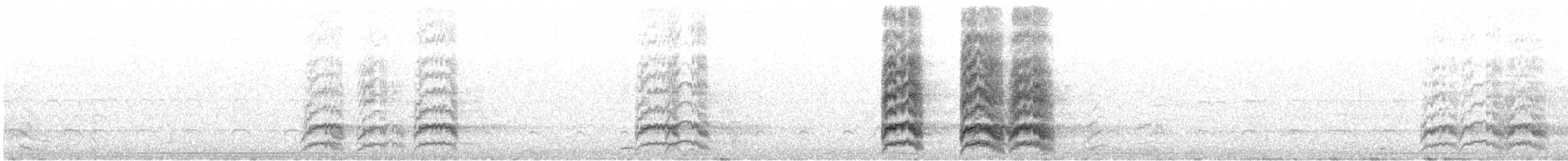 Burrowing Parakeet - ML644247693