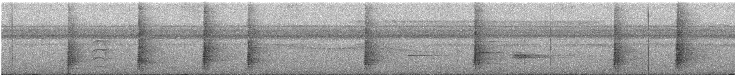 Grimpar nasican - ML644248363