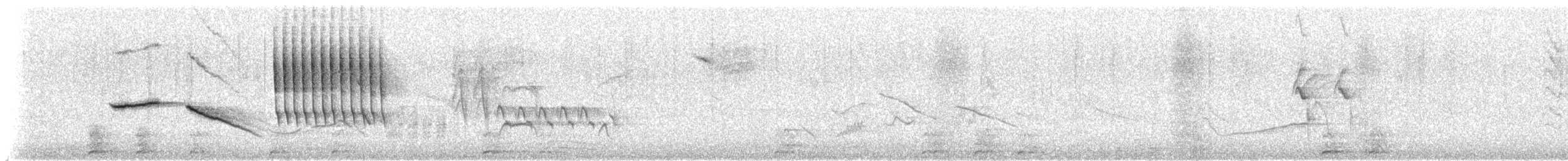 Bruant chingolo - ML644248741