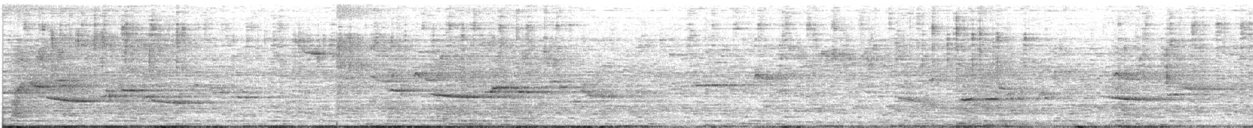 Hermit Thrush - ML644248804