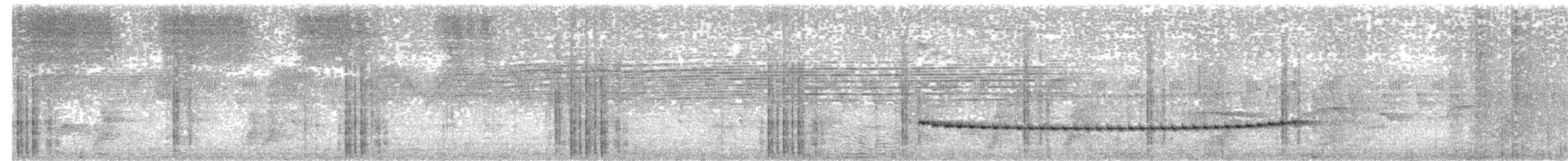 Rostkappen-Ameisendrossel - ML644249433