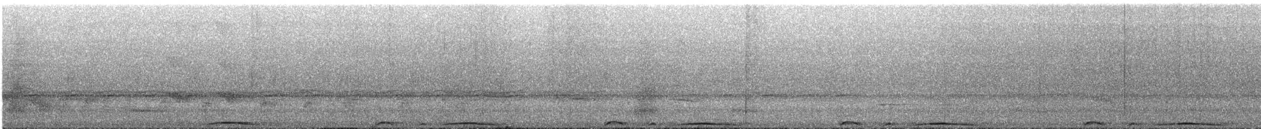 Pale-vented Pigeon - ML644250719