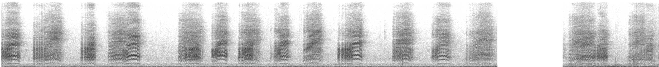 Гіла чорновола - ML644251165
