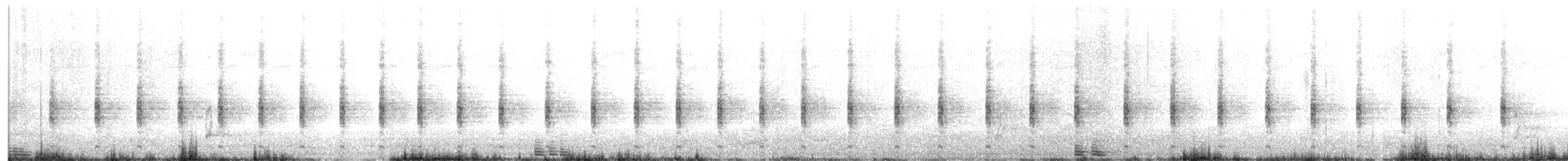 Lewin's Rail - ML644251789