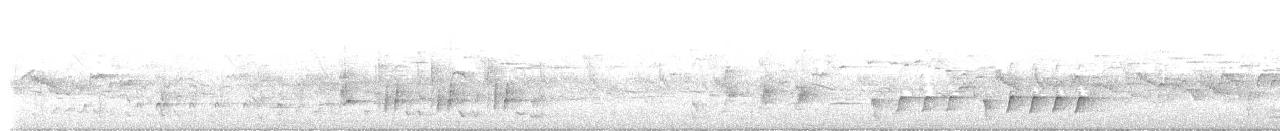 Gray-eared Honeyeater - ML644252006