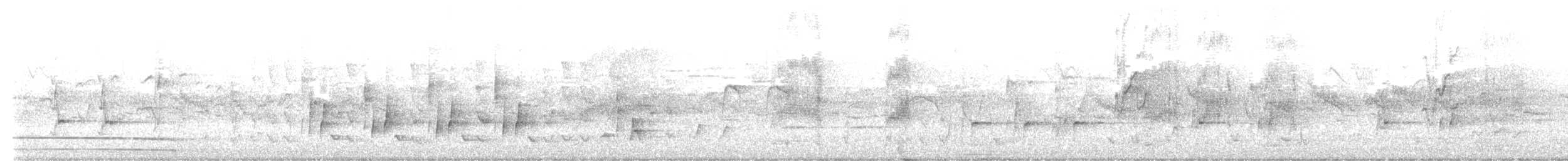 Coconut Lorikeet - ML644252007