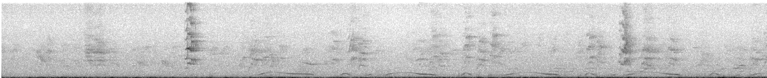 Pale-vented Pigeon - ML644252148