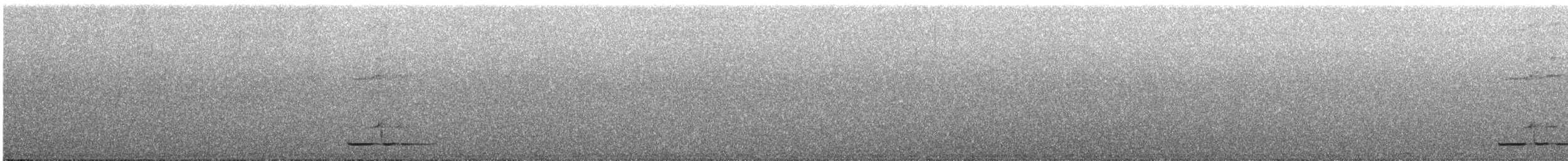 Solitary Black Cacique - ML644252612