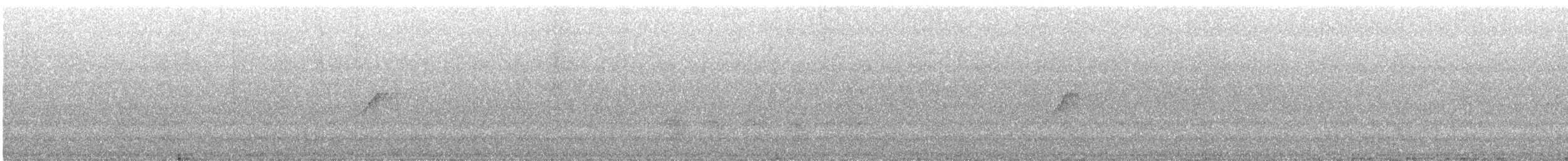 bladflatnebb - ML644252804