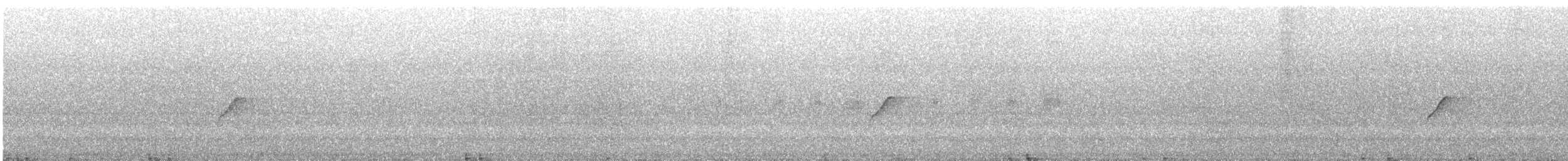 bladflatnebb - ML644252805