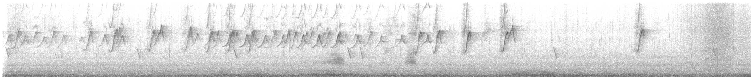 New Holland Honeyeater - ML644253098