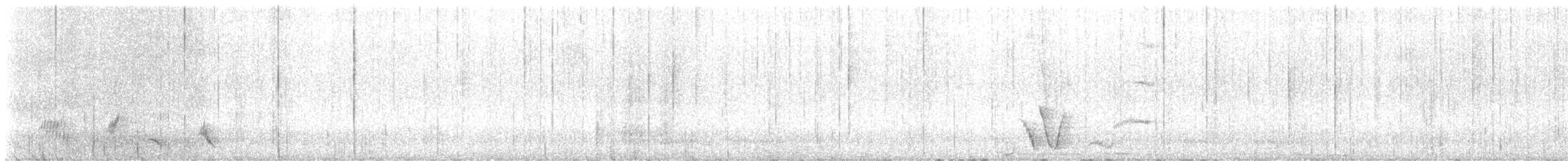 Superb Lyrebird - ML644253147