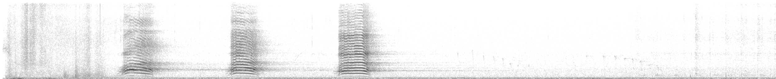 Cuervo Australiano - ML644253177