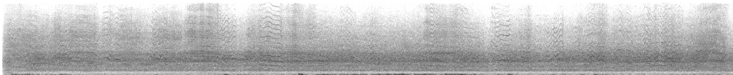 Cacatoès corella - ML644253225