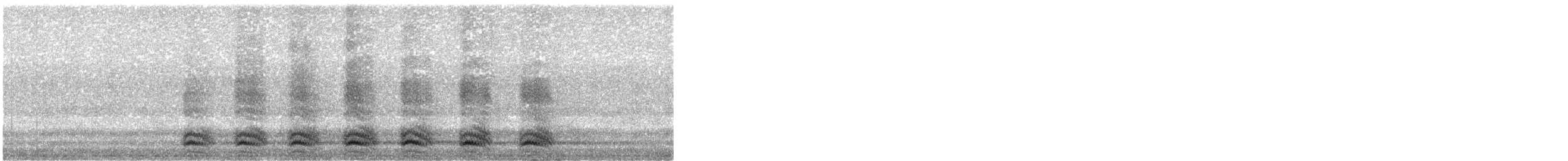 Corneille d'Amérique - ML644253950