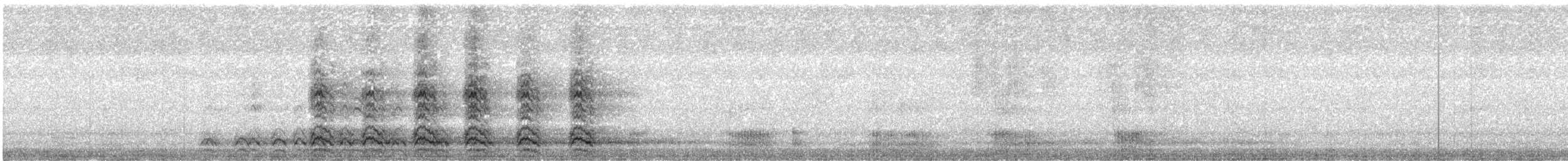 Corneille d'Amérique - ML644253951