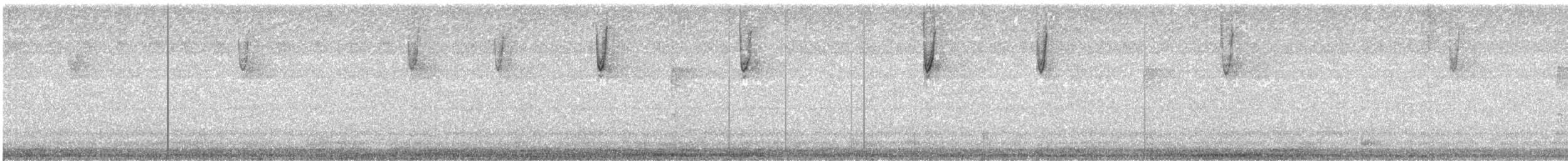 Chipping Sparrow - ML644253963